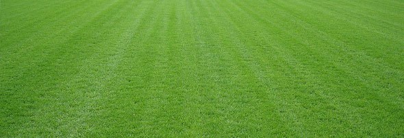slideshow_premium1